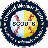 CWYBSA logo